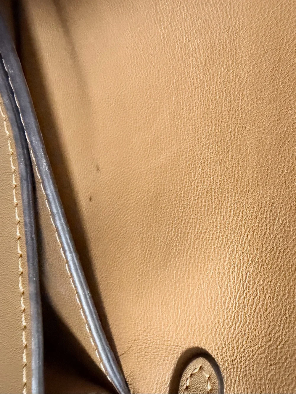 Coach Micro Dinky Bag